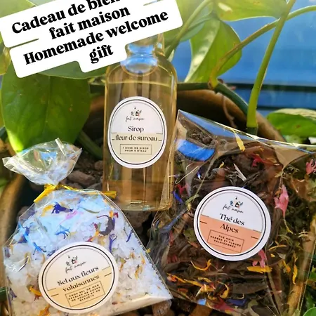 Vue Imprenable Sur Les Alpes Et Parking Prive Gratuit דירה *